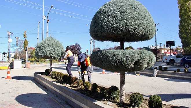 Büyükşehir Belediyesi’nden dekoratif budama 