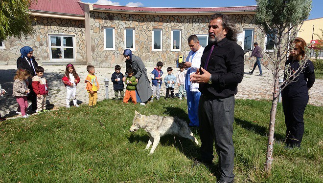 Van’da "4 Ekim Dünya Hayvanları Koruma Günü" etkinliği