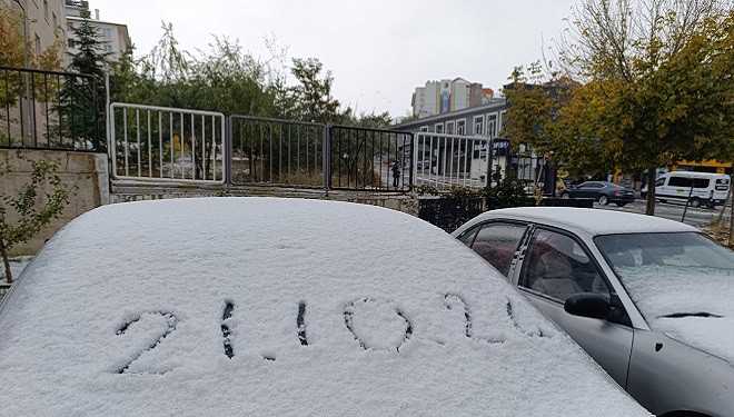 Van'da her yer beyaza büründü