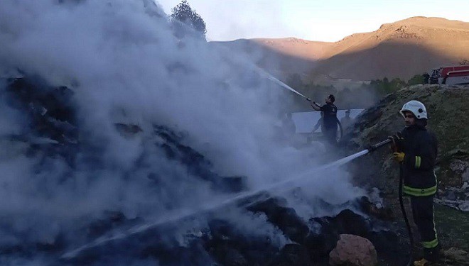 Van'da 9 bin 500 bağ ot yandı