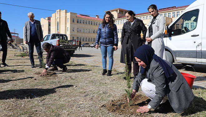 Tuşba Belediyesi'nden ağaçlandırma hamlesi