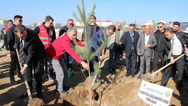 Erciş’te fidan dikme etkinliği