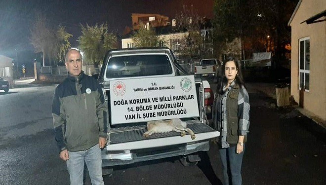 Van'da yasadışı avlanan şahsa 11 bin lira caza