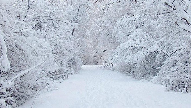 Meteorolojiden 8 kente yoğun kar uyarısı!