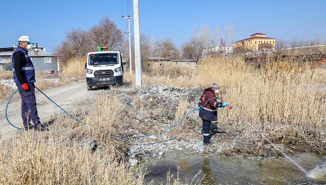 VBB vektörle mücadele startını verdi