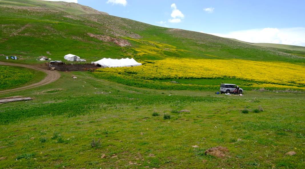 Van ve çevre kentlerdeki yayla...